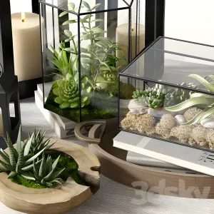 Pottery barn glass terrarium