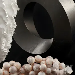 Set of decors sculpures
