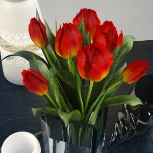 Tulips ok tulips scene ok