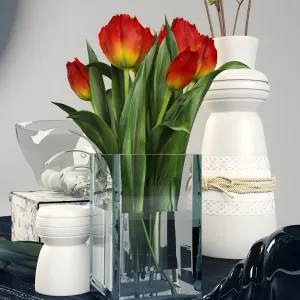 Tulips ok tulips scene ok