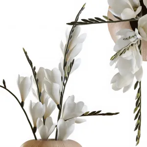 Branches in vases