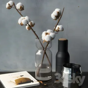 Cotton