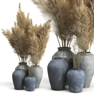 Decorative of clay vases pampas grass