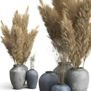 Decorative of clay vases pampas grass