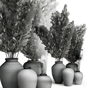 Decorative of clay vases pampas grass