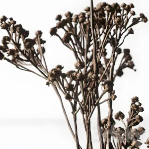 Decorative with copenhagen vases