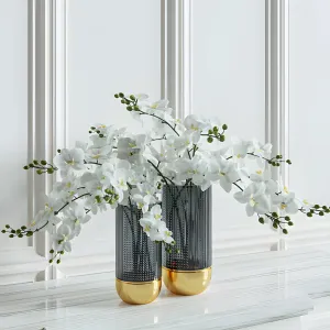 Flower orchids