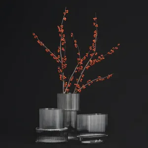 H m glass vases with red berry branch