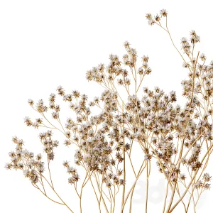 H m vase with dry flowers