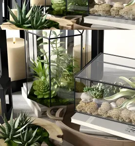 Pottery barn glass terrarium