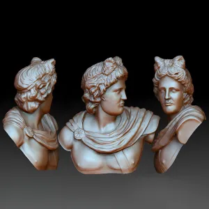Bust of apollo