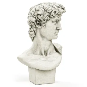 Bust of david sculpture michelangelo