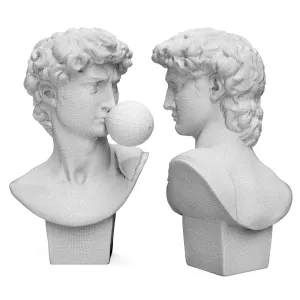 Bust of david sculpture michelangelo