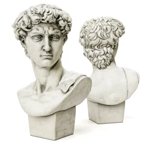 Bust of david sculpture michelangelo