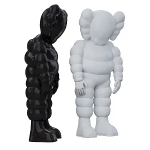 Kaws what