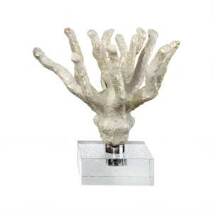 Sculptures of coral reef