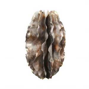 Sculptures of coral reef