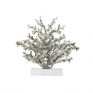 Sculptures of coral reef