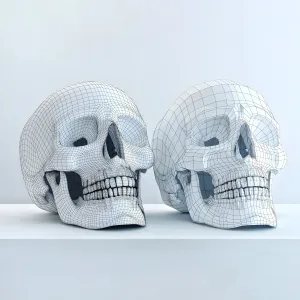 Skull