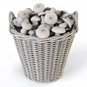 Ikea shopping nipprig with mushrooms