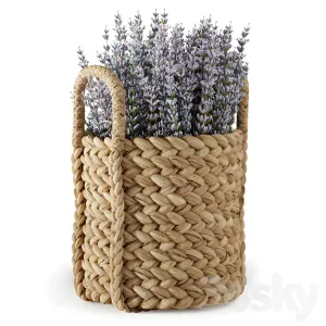 Pottery barn beachcomber baskets