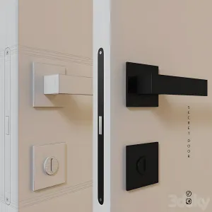 Concealed door
