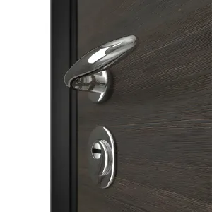 Door entrance metal with wooden decorative plate