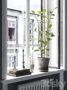 Scandinavian windows
