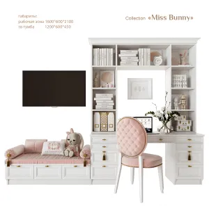 Efi concept kid miss bunny a workplace with a tv zone
