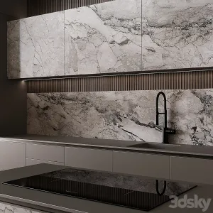 Modern style kitchen