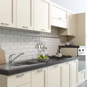Scaini Colony Kitchen
