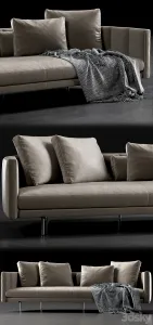 Minotti torii