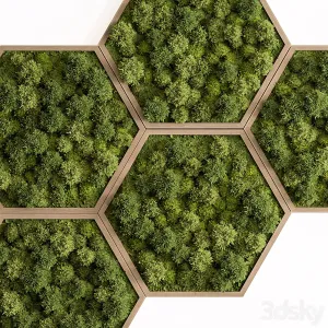 Hexagon Green Wall Panel Set