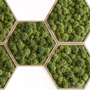 Hexagon Green Wall Panel Set