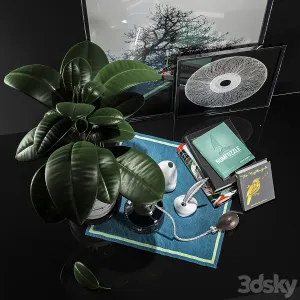 DECORATION SET WITH FIKUS