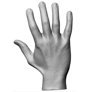 Hand Relaxed Scan Store
