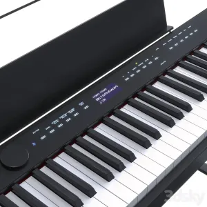 Casio PX
