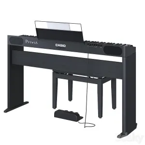 Casio PX