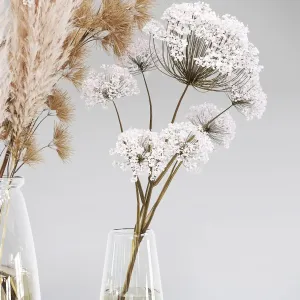 Dry Flower