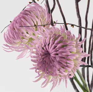 Prunus branches chrysanthemums
