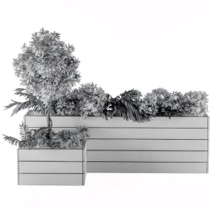 Outdoor plants Flower Box
