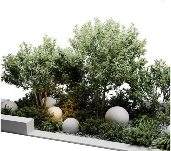 Outdoor plants