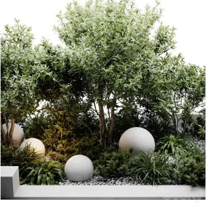 Outdoor plants