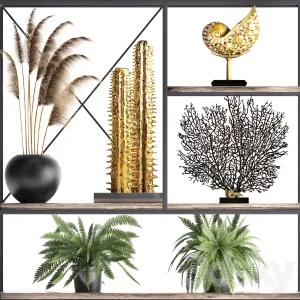 Decorative 49