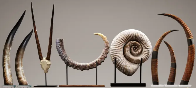 Decorative sets