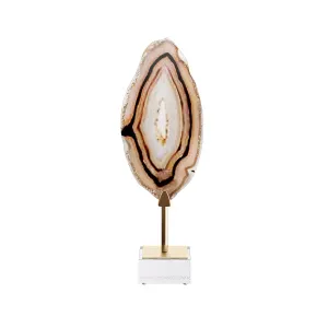 Sea shell decorative set