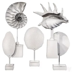 Sea shell decorative set