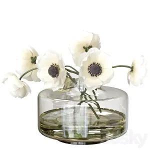 Bouquet of anemones