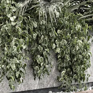 OUTDOOR PLANT BOX V