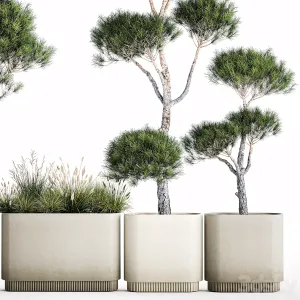 Plant collection